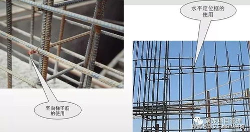 钢筋 模板 混凝土工程施工过程控制图文解说,三维效果图