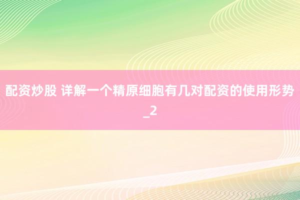 配资炒股 详解一个精原细胞有几对配资的使用形势_2